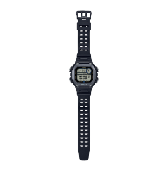 CASIO STANDARD DW291HX-1A