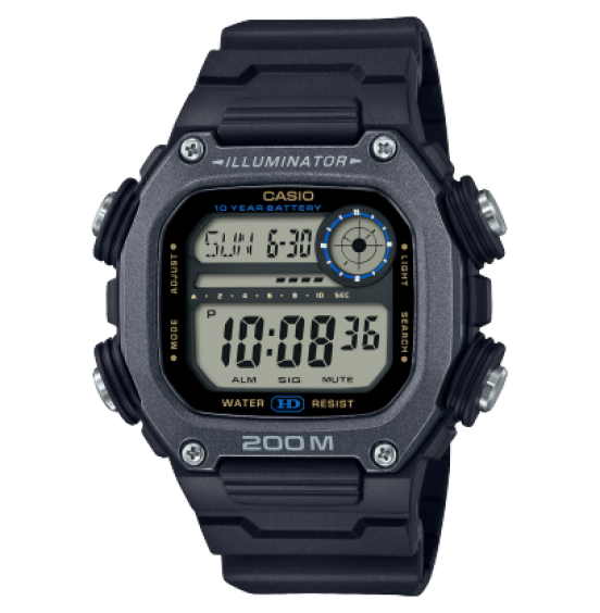 CASIO STANDARD DW291HX-1A